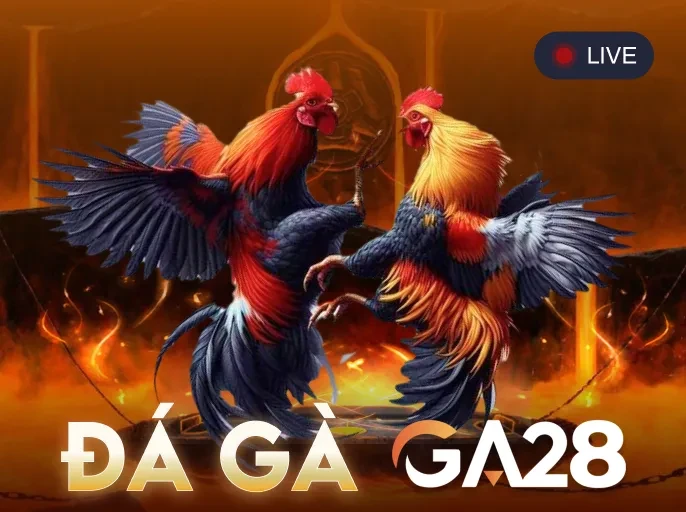 3BET Đá Gà Ga28